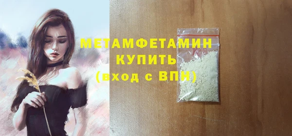 индика Елабуга