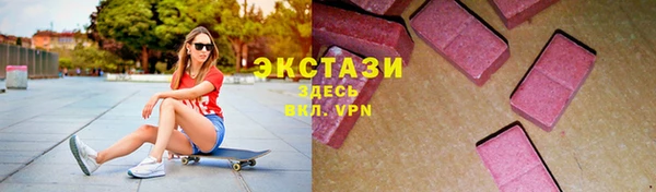 индика Елабуга