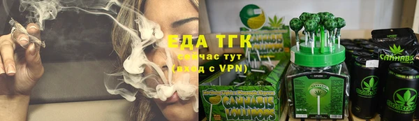 индика Елабуга
