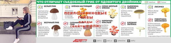 МДПВ Елизово