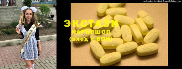 индика Елабуга