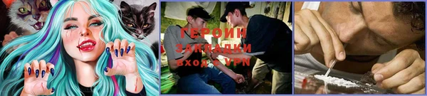 МДПВ Елизово