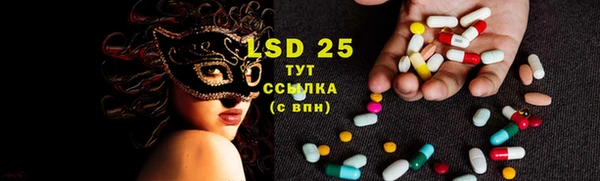 стаф Ельня