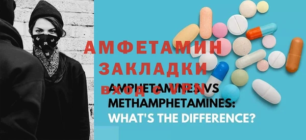 стаф Ельня