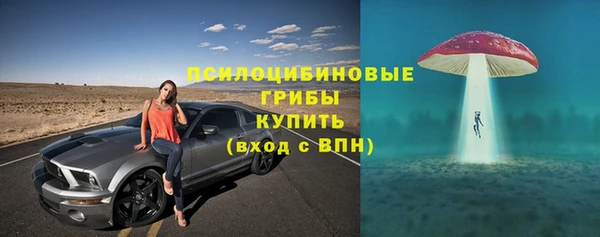 МДПВ Елизово