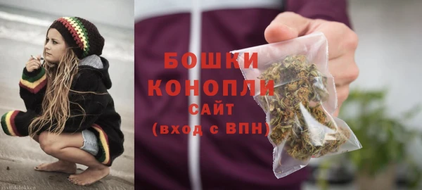 индика Елабуга