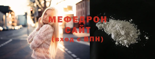 стаф Ельня