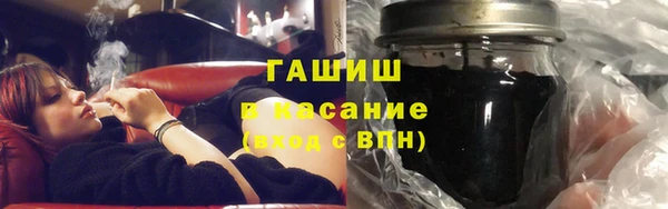 индика Елабуга