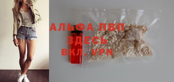 индика Елабуга