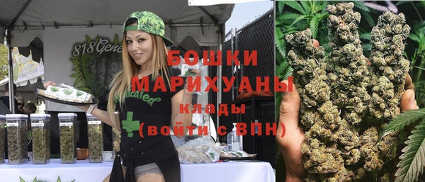 индика Елабуга