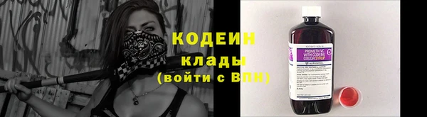 МДПВ Елизово