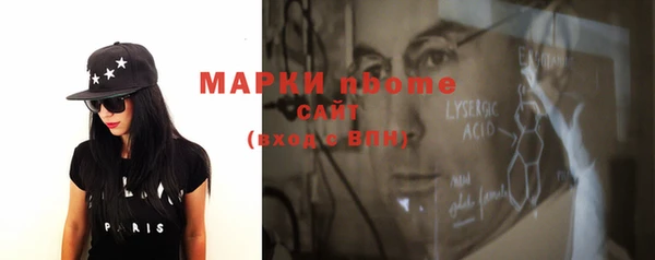 стаф Ельня