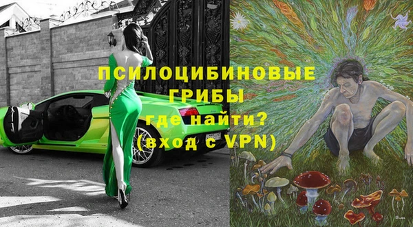 МДПВ Елизово