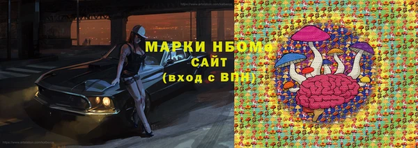 стаф Ельня