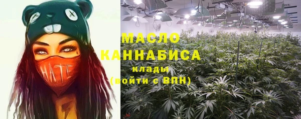 стаф Ельня