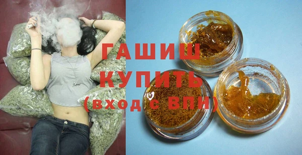 стаф Ельня