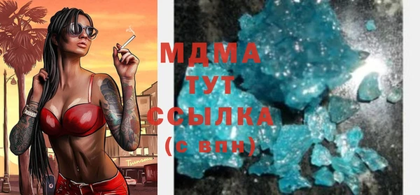 стаф Ельня