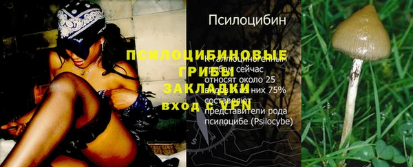 МДПВ Елизово