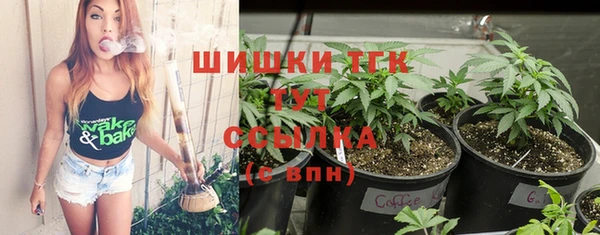 МДПВ Елизово