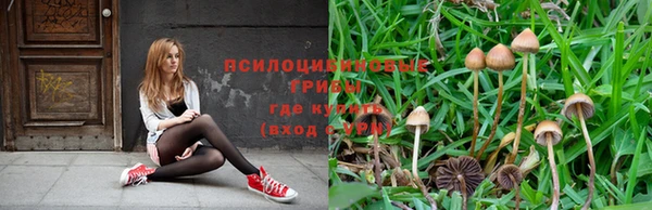 индика Елабуга