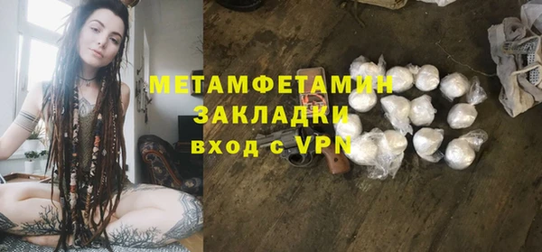 индика Елабуга