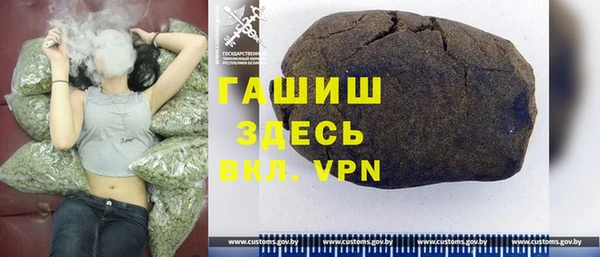 стаф Ельня
