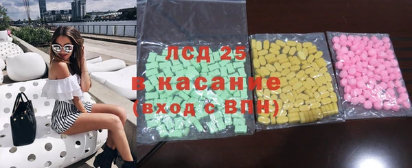 индика Елабуга