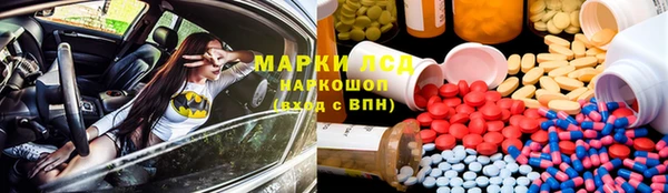 стаф Ельня