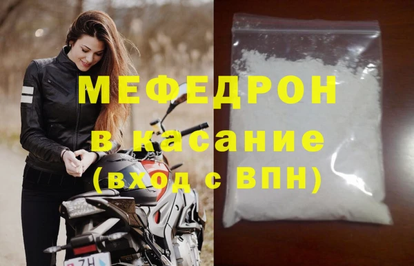 индика Елабуга