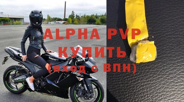 индика Елабуга