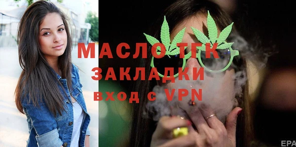 стаф Ельня