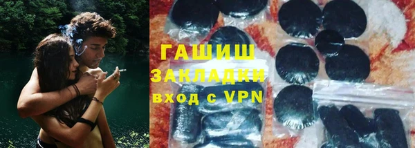 стаф Ельня