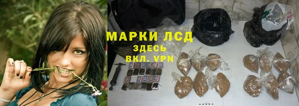 индика Елабуга
