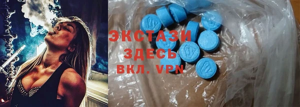 стаф Ельня