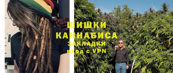 индика Елабуга