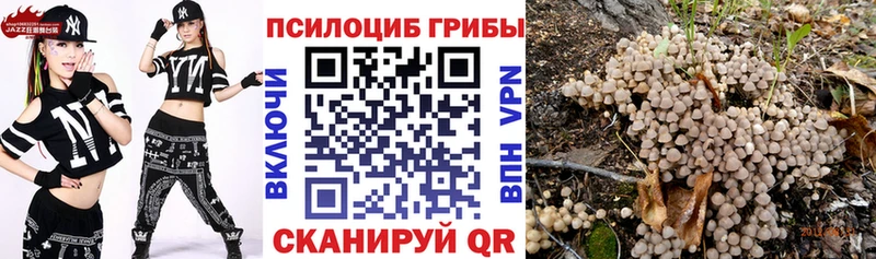 Псилоцибиновые грибы Magic Shrooms Купить закладки Аркадак