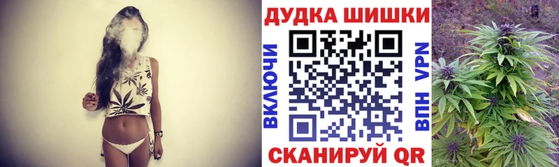Купить где  Аркадак  Каннабис SATIVA & INDICA 